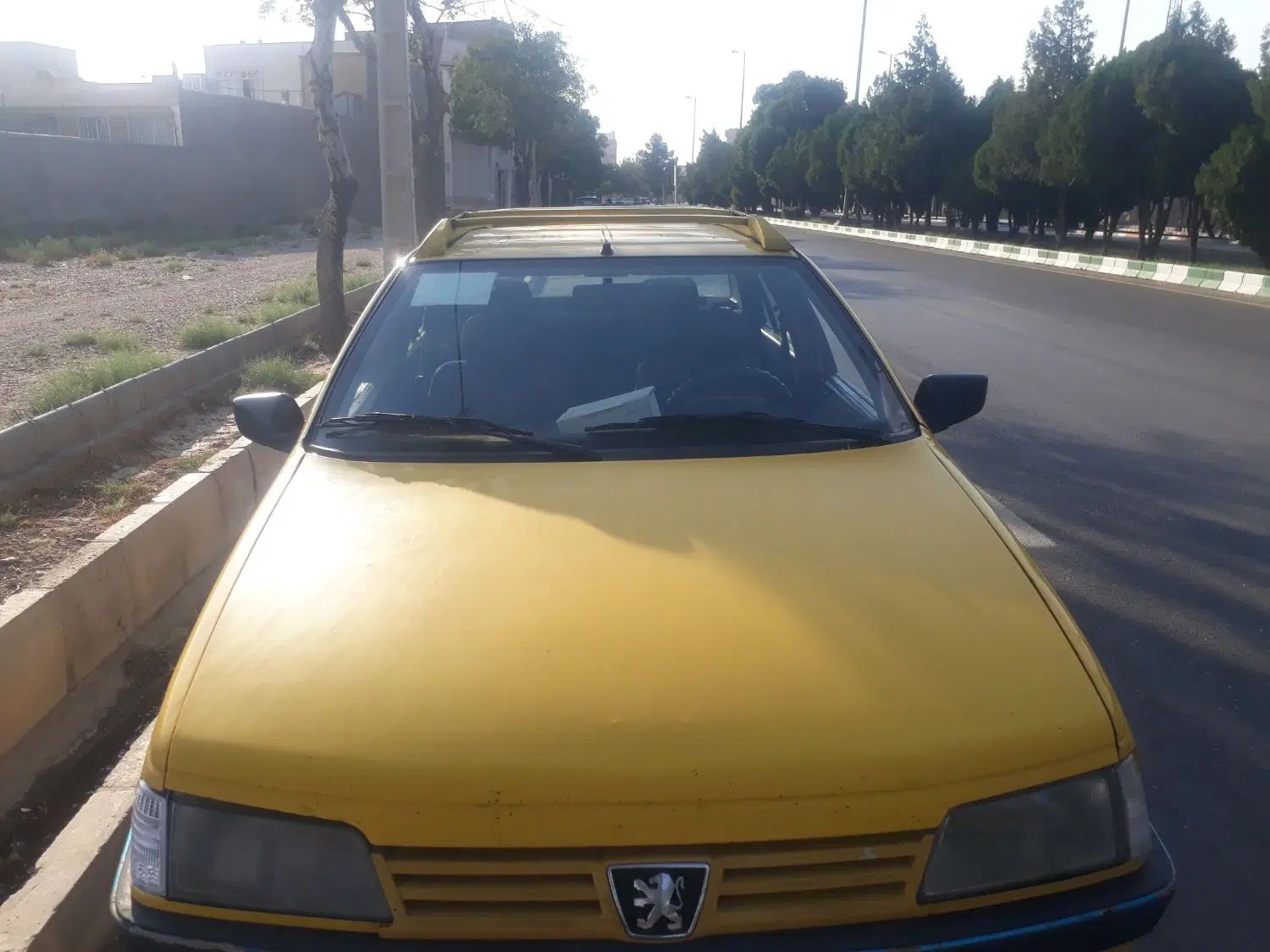 پژو 405 GLX - دوگانه سوز - 1391