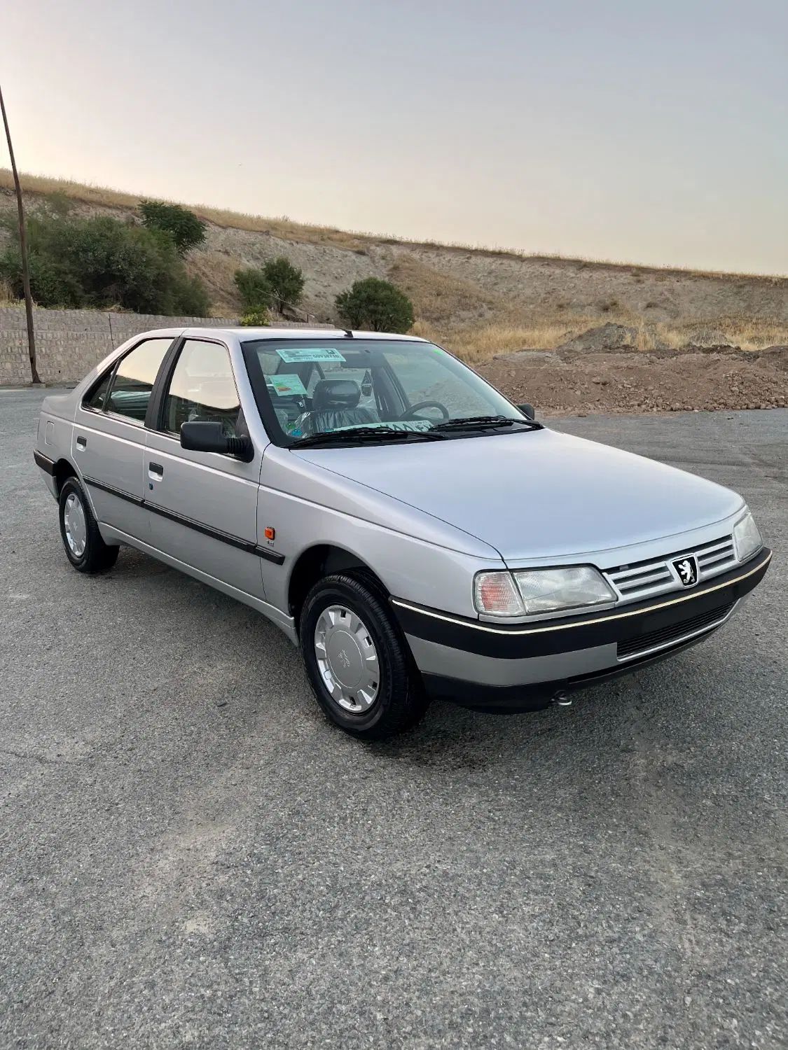 پژو 405 GLX - 1389
