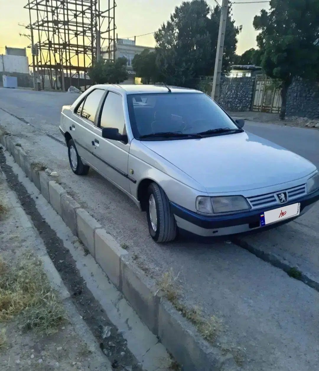 پژو 405 GLX - دوگانه سوز - 1391