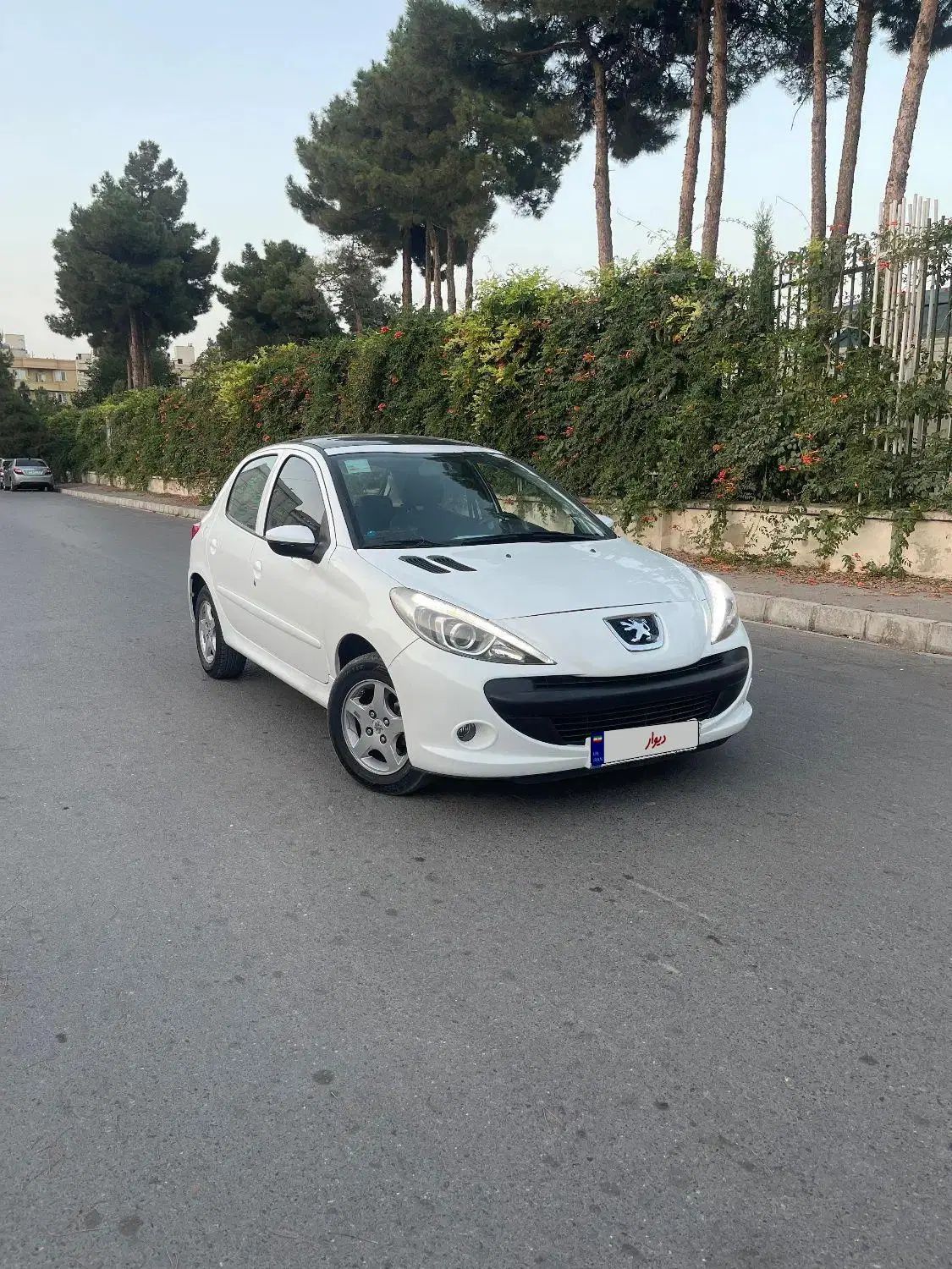 خودرو پژو، 207 آگهی ann_20031452
