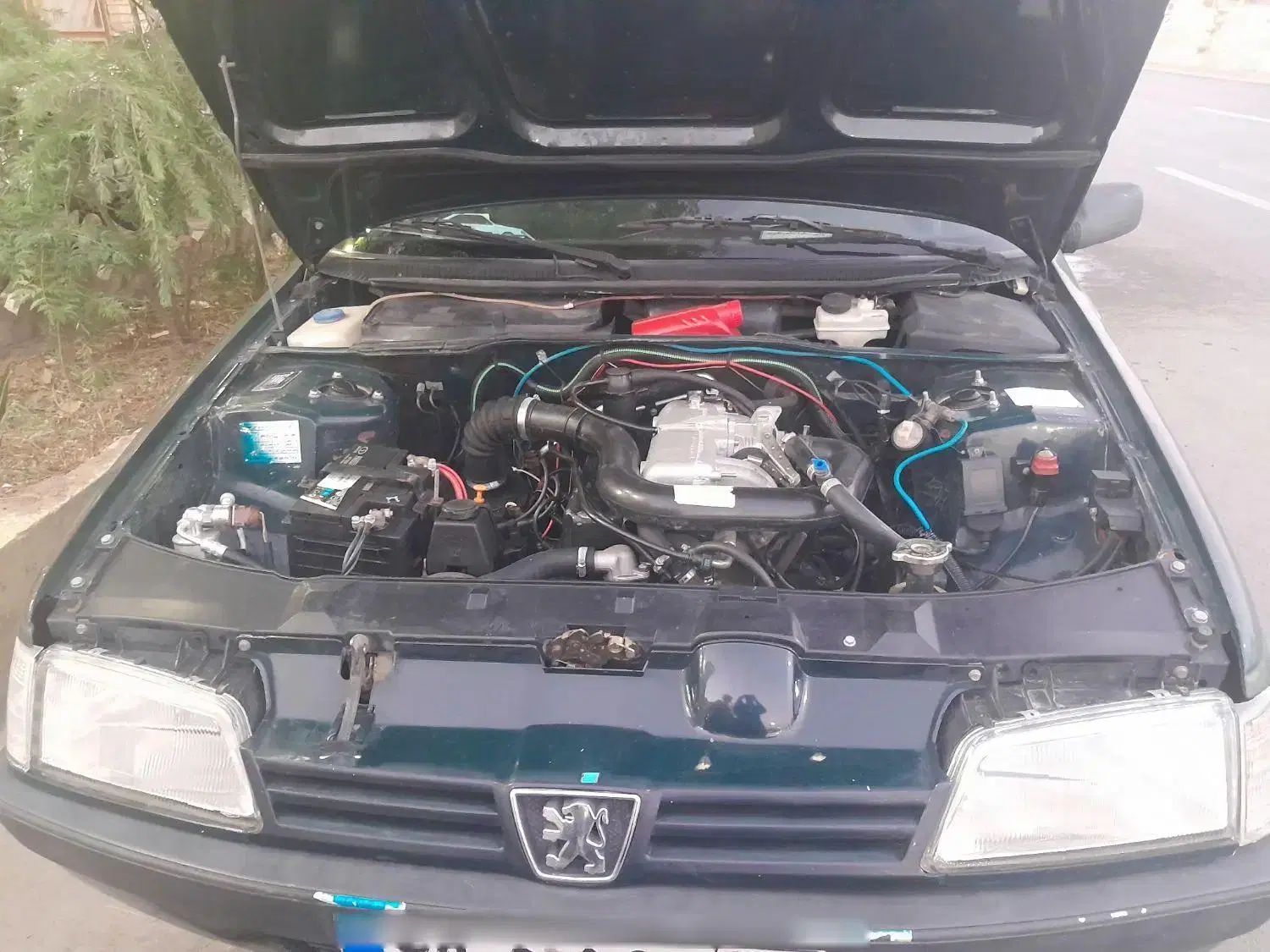 پژو آردی دوگانه سوز CNG - 1384