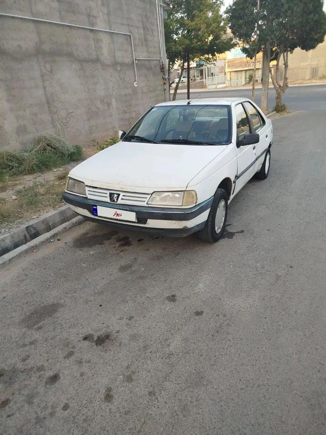 پژو آردی دوگانه سوز CNG - 1383