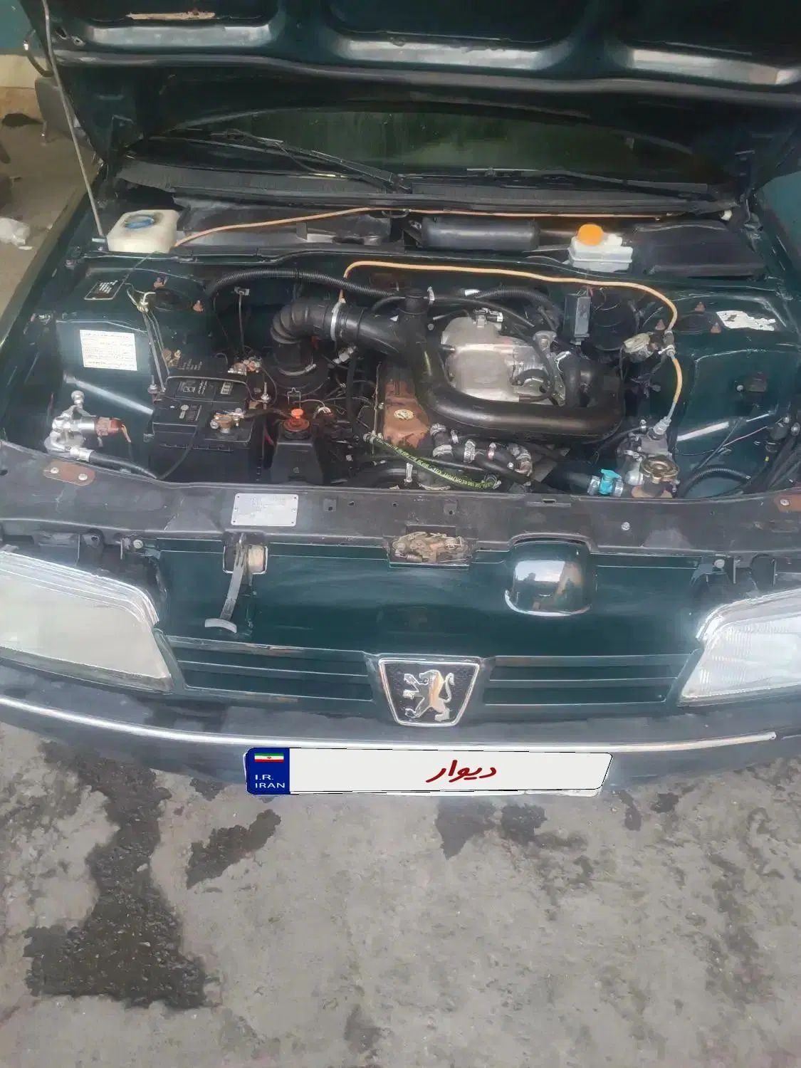 پژو آردی دوگانه سوز CNG - 1383