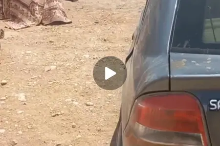 پراید 141 SX - 1385