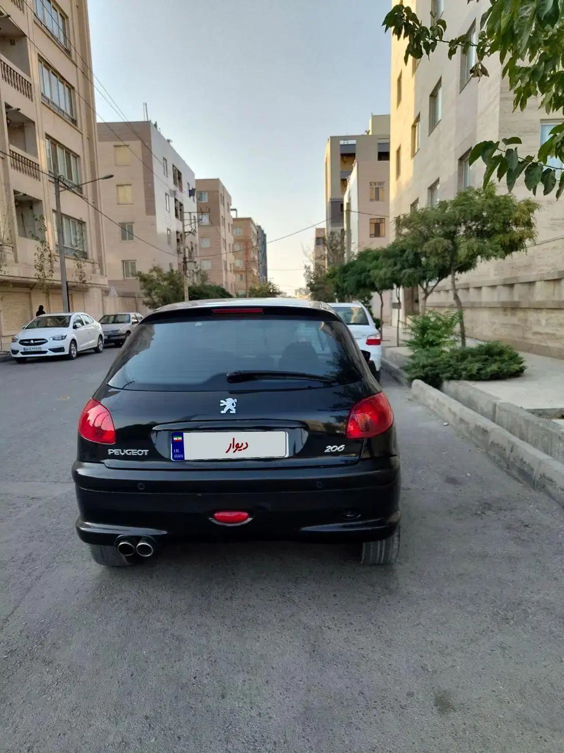 پژو 206 تیپ 5 - 1394