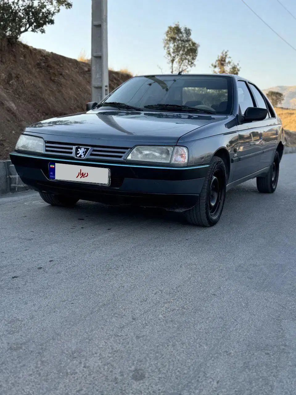 پژو 405 GLX - دوگانه سوز - 1396