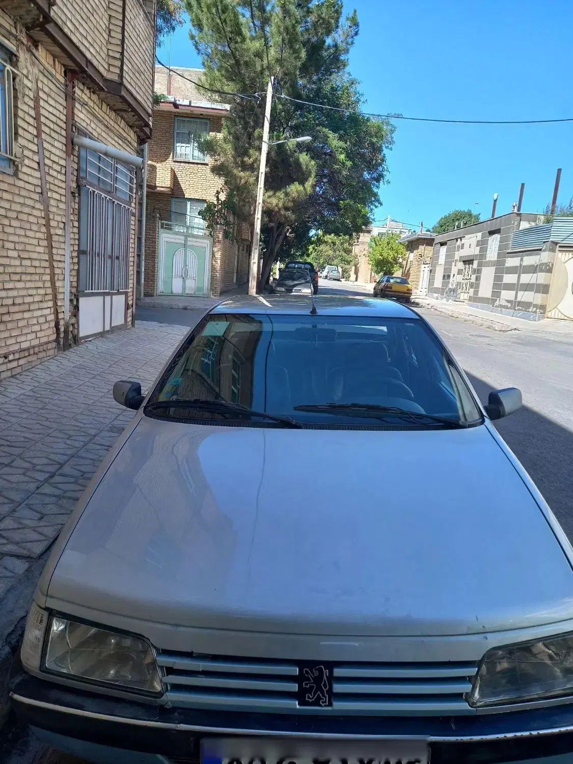 پژو روآ دوگانه سوز - 1387