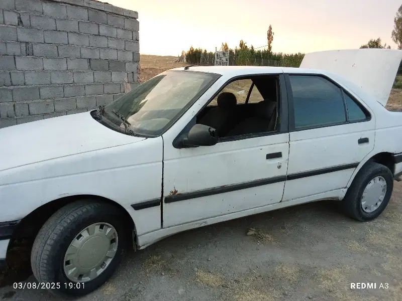 پژو آردی دوگانه سوز CNG - 1381
