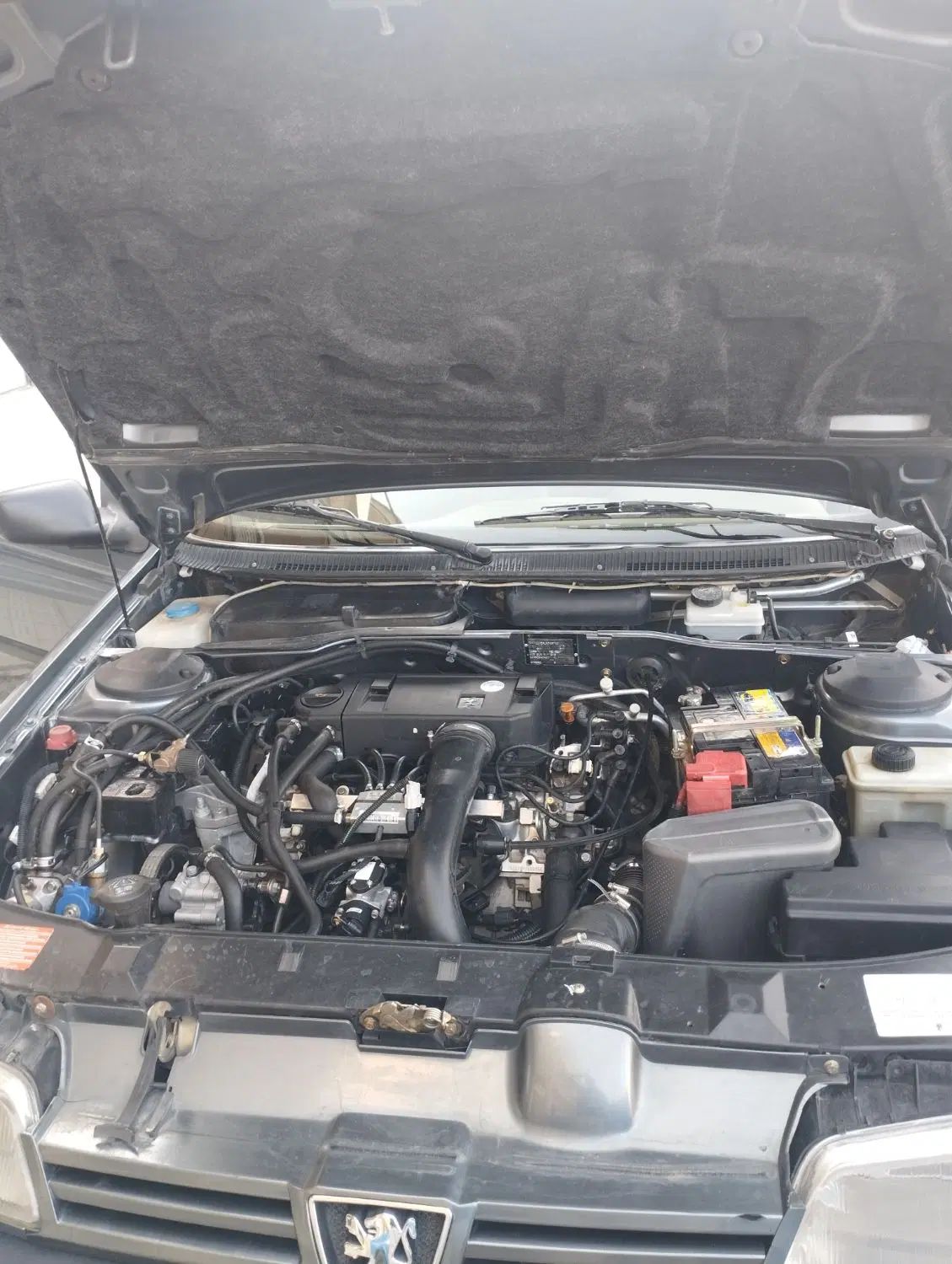 پژو 405 GLX - دوگانه سوز - 1399