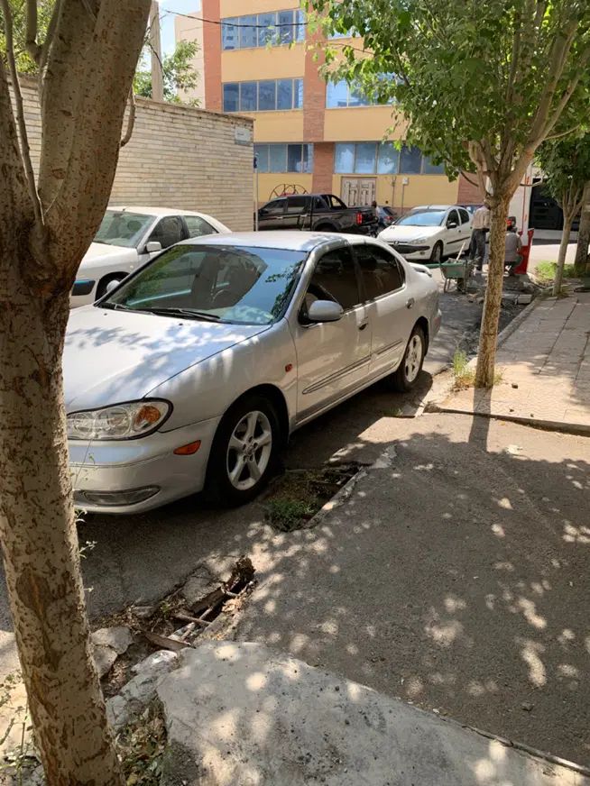 خودرو نیسان، ماکسیما آگهی ann_20038611