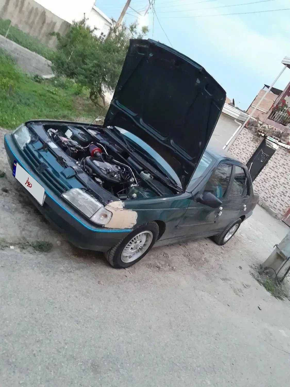 پژو آردی دوگانه سوز CNG - 1383