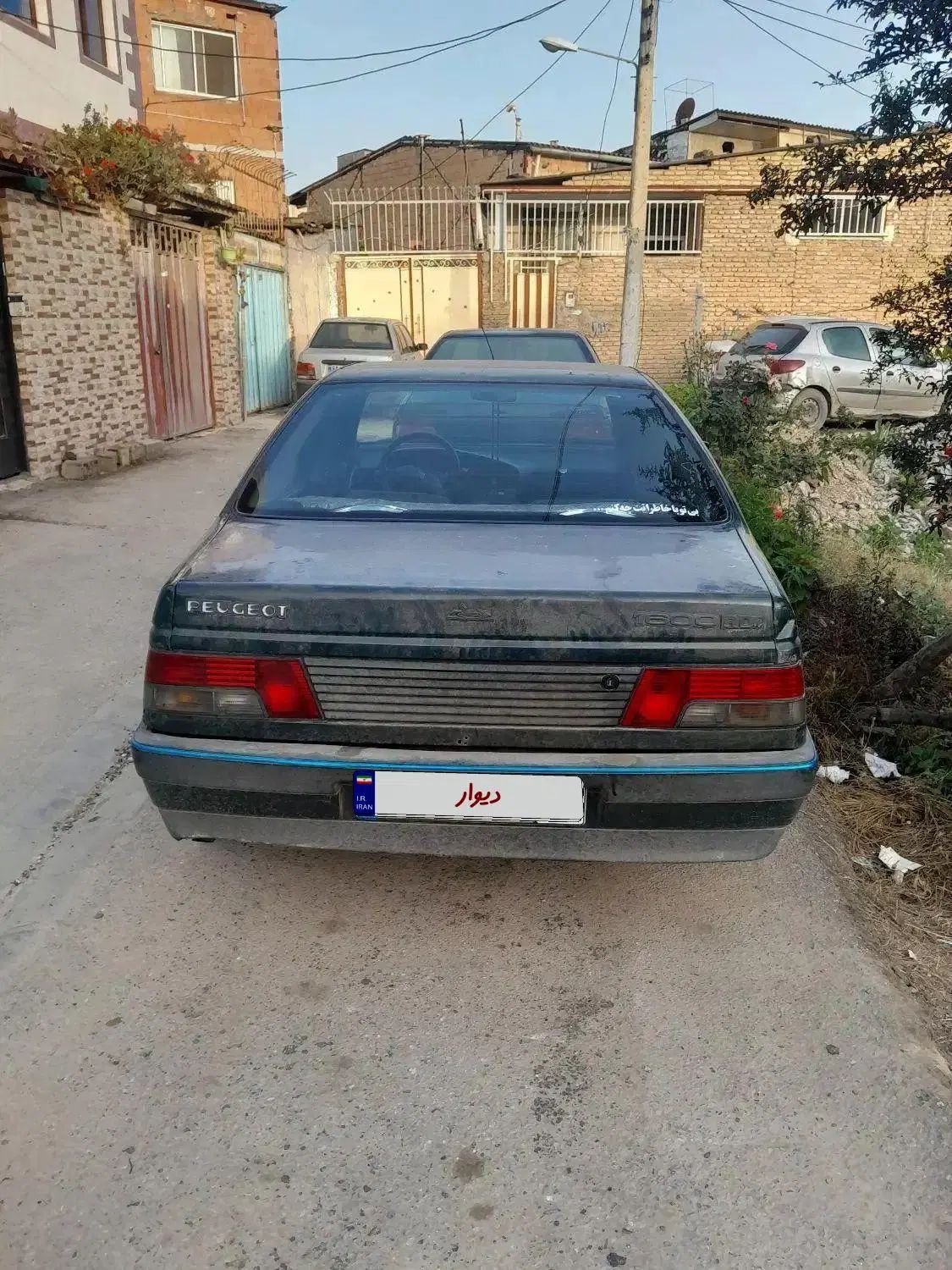 پژو آردی دوگانه سوز CNG - 1383