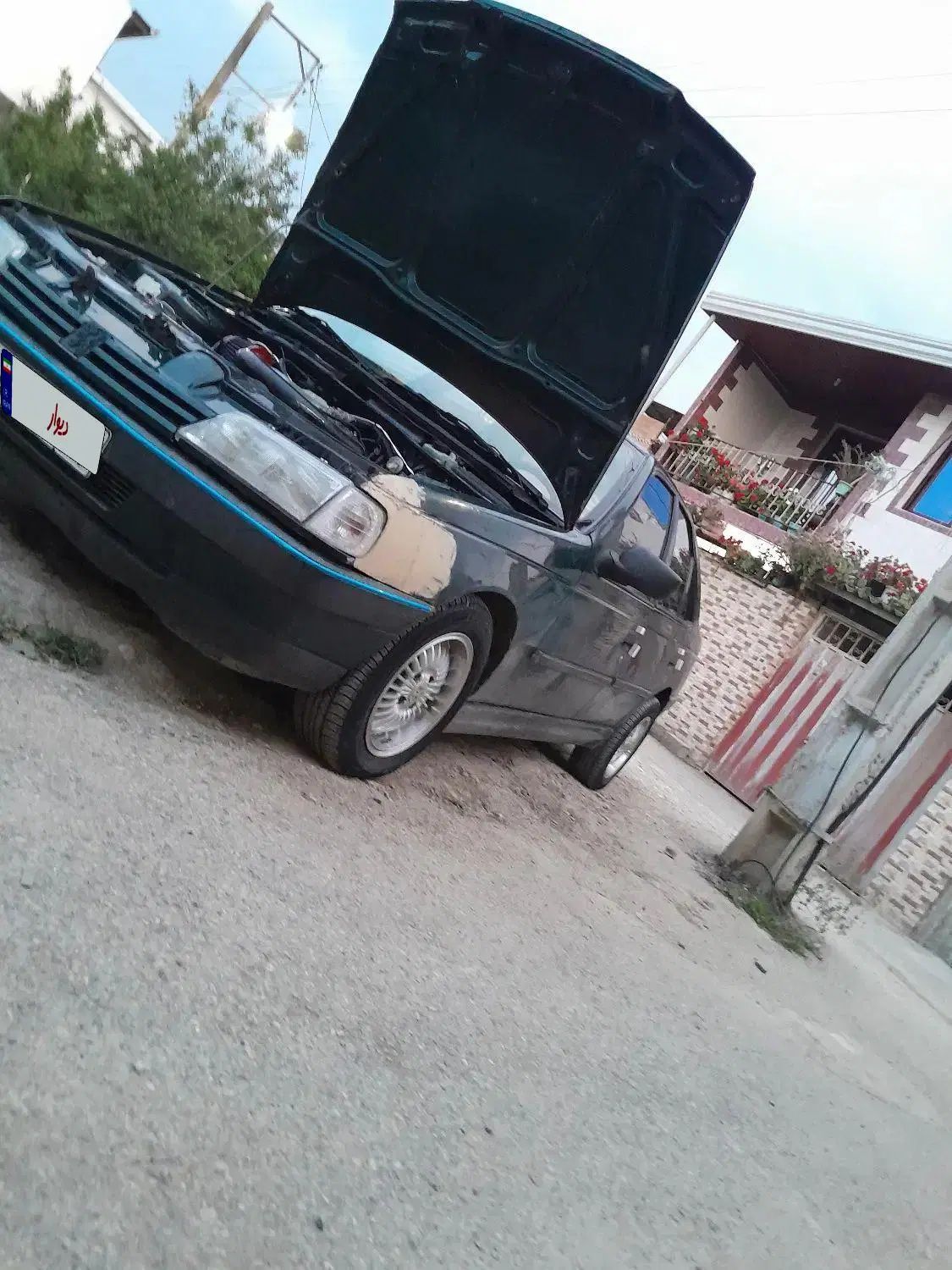 پژو آردی دوگانه سوز CNG - 1383