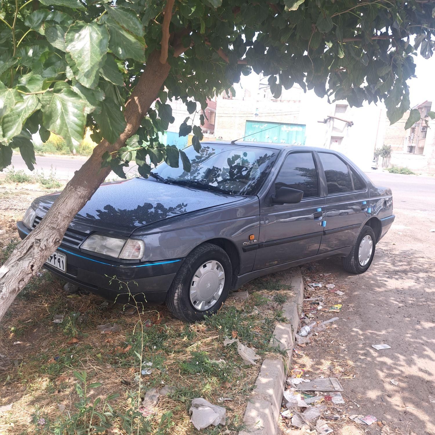 خودرو پژو، 405 آگهی ann_20039199