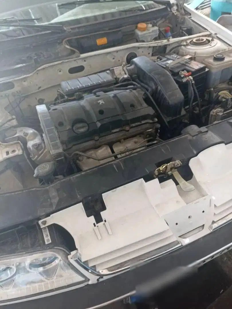 پژو 405 SLX بنزینی TU5 - 1391