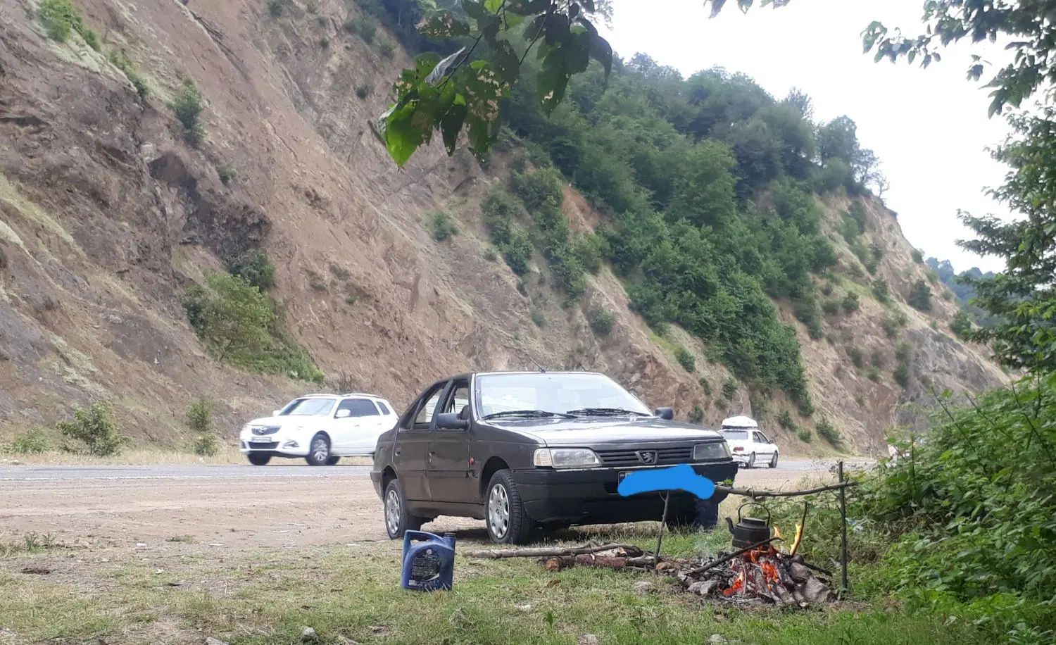 پژو روآ بنزینی - 1388