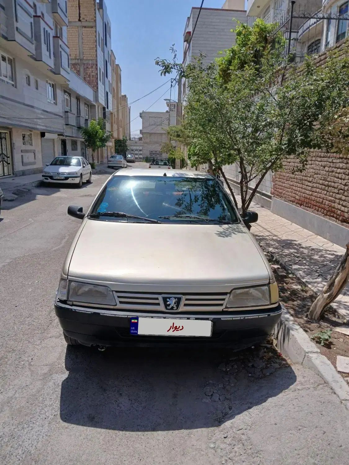 پژو روآ دوگانه سوز - 1387