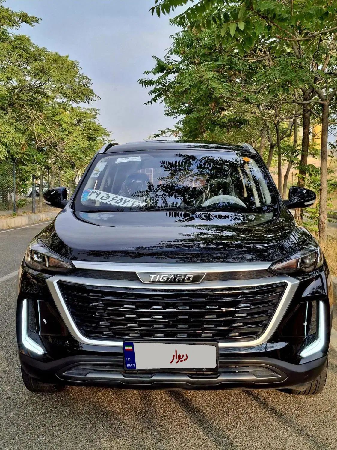 تیگارد X35 ساده - 1403