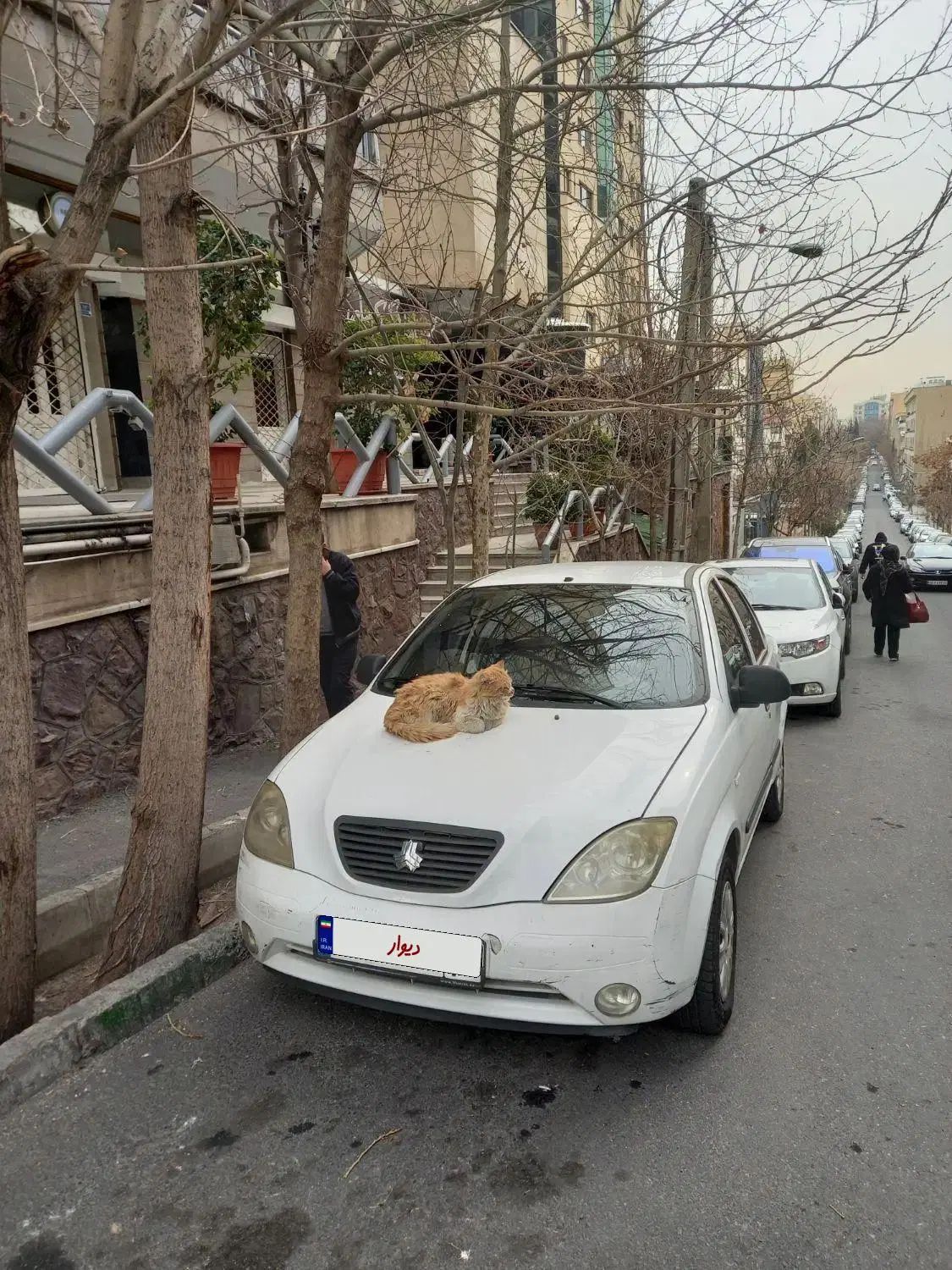 خودرو تیبا، صندوق دار آگهی ann_20040357