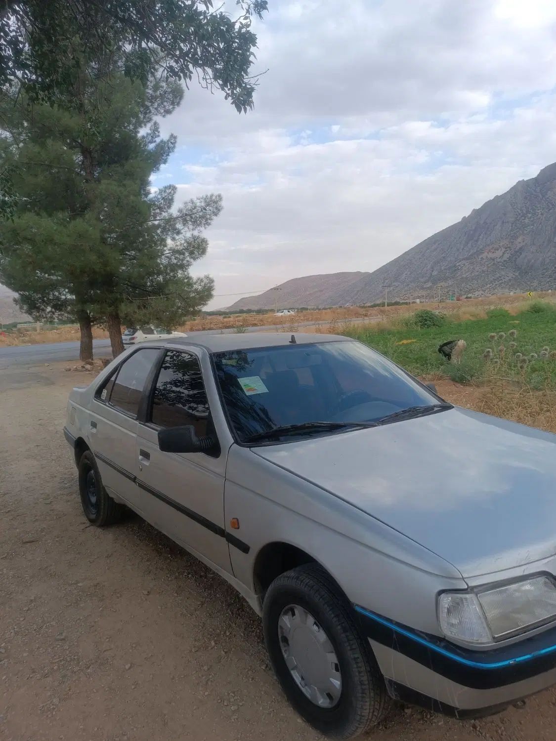 خودرو پژو، 405 آگهی ann_20040900