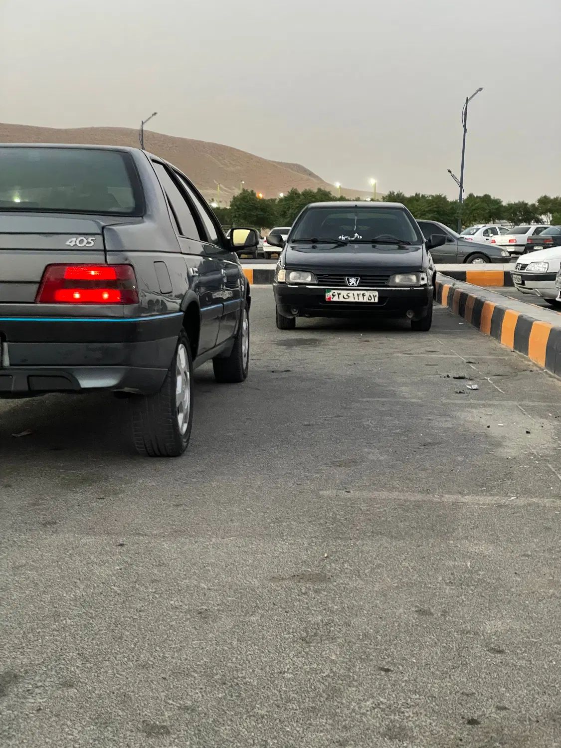پژو 405 SLX بنزینی TU5 - 1393
