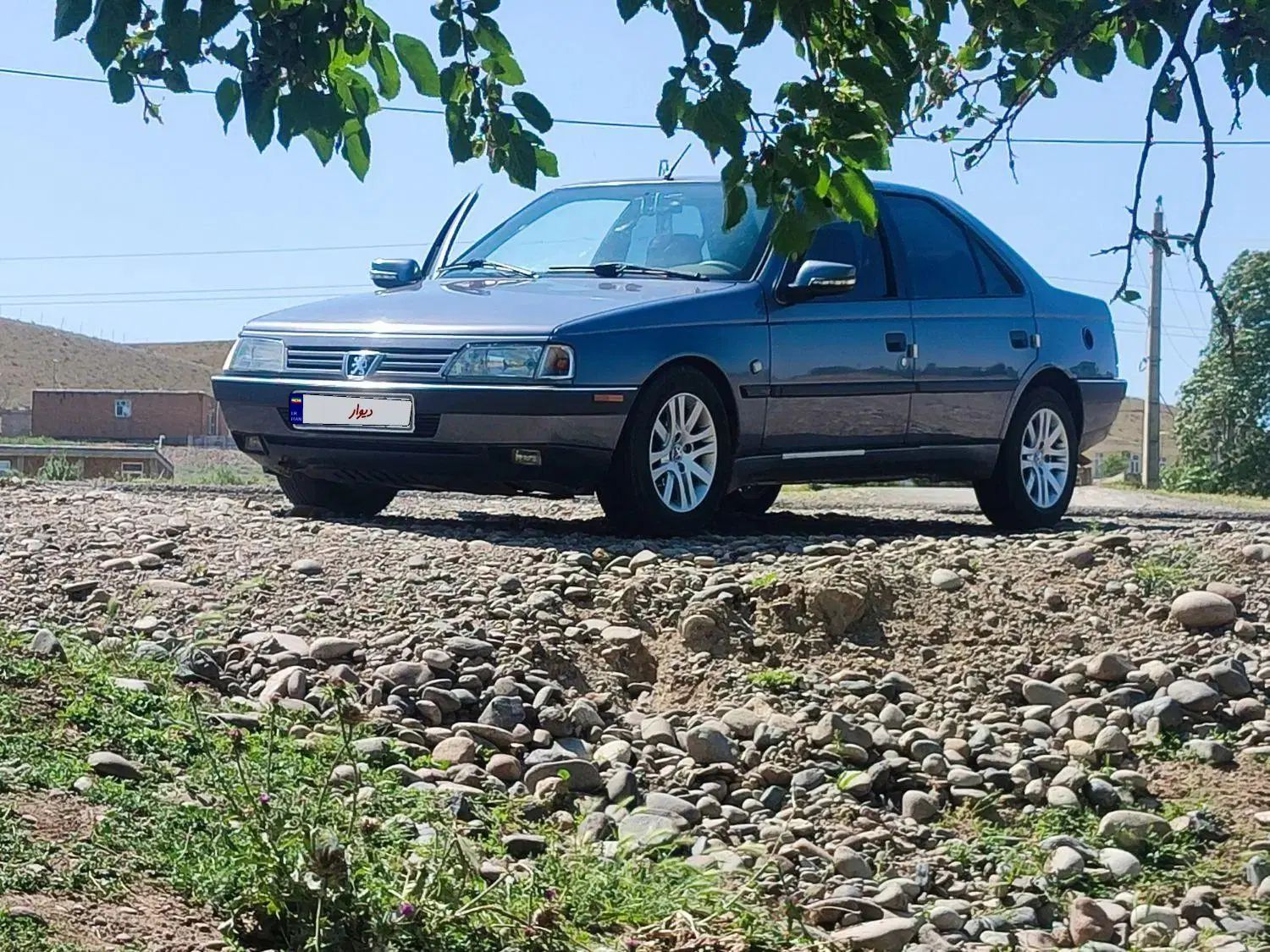 پژو 405 GL - دوگانه سوز CNG - 1369
