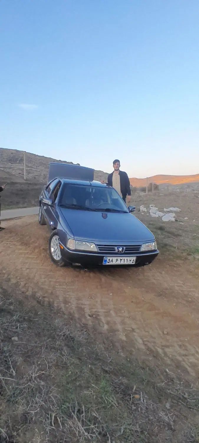پژو 405 GL - دوگانه سوز CNG - 1369