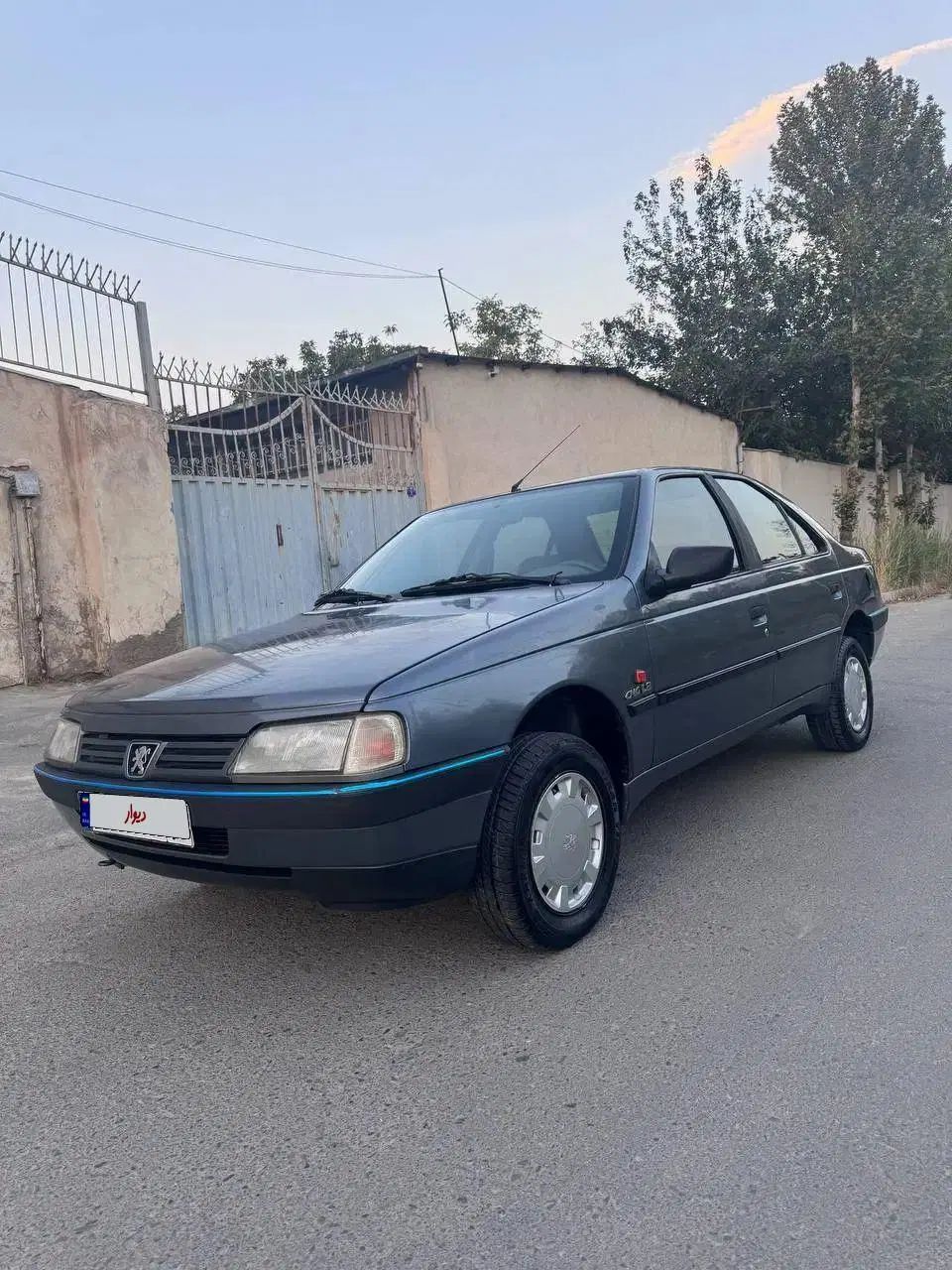 پژو 405 GLX - دوگانه سوز - 1393