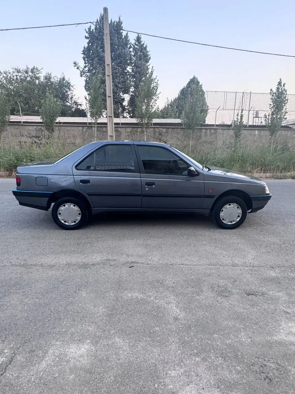 پژو 405 GLX - دوگانه سوز - 1393