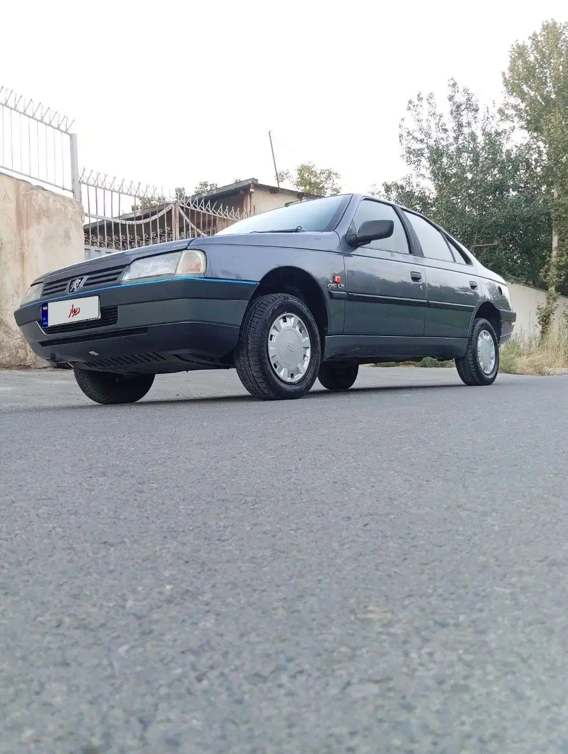 پژو 405 GLX - دوگانه سوز - 1393