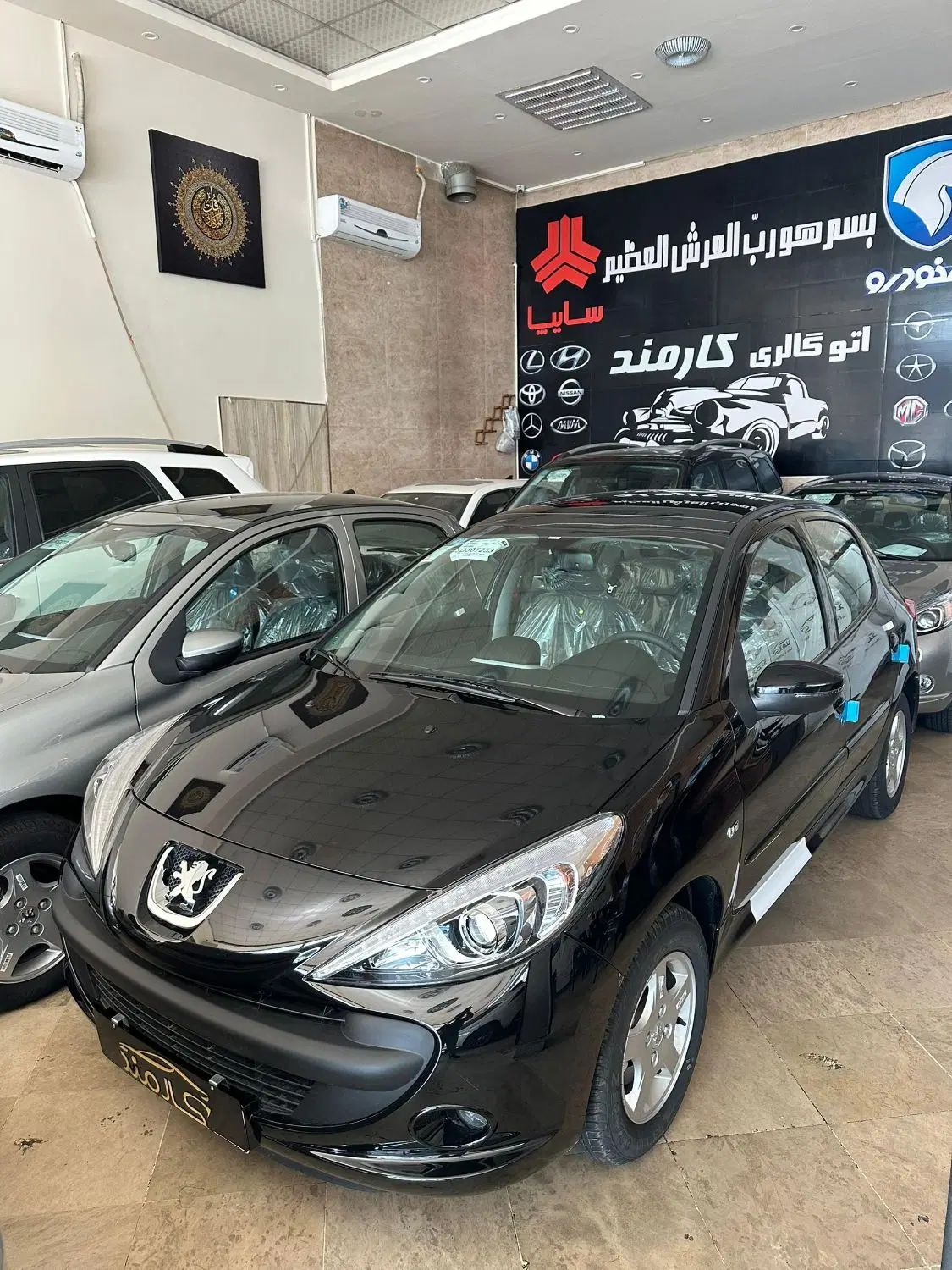 خودرو پژو، 207 آگهی ann_20046446