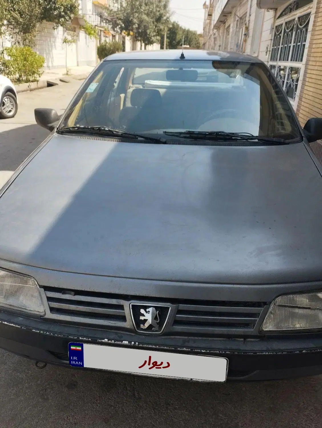پژو 405 GLX - دوگانه سوز - 1393