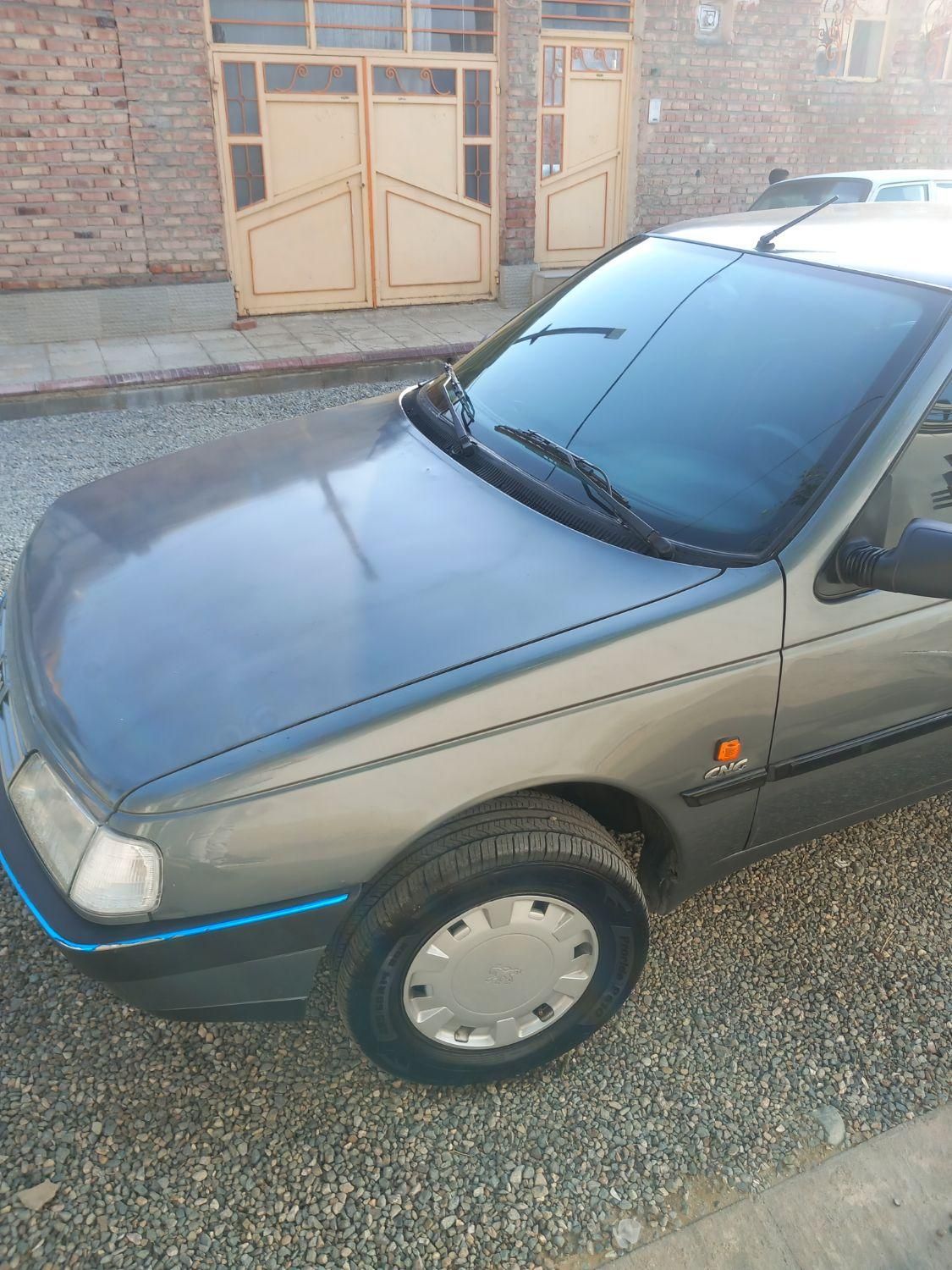 پژو 405 GL - دوگانه سوز CNG - 1369