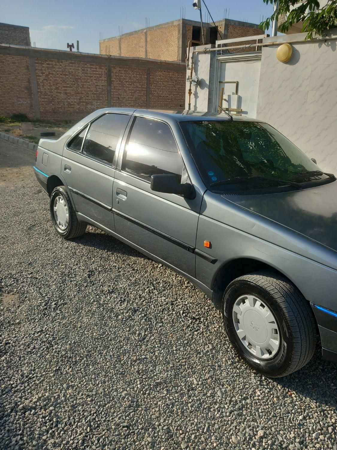پژو 405 GL - دوگانه سوز CNG - 1369