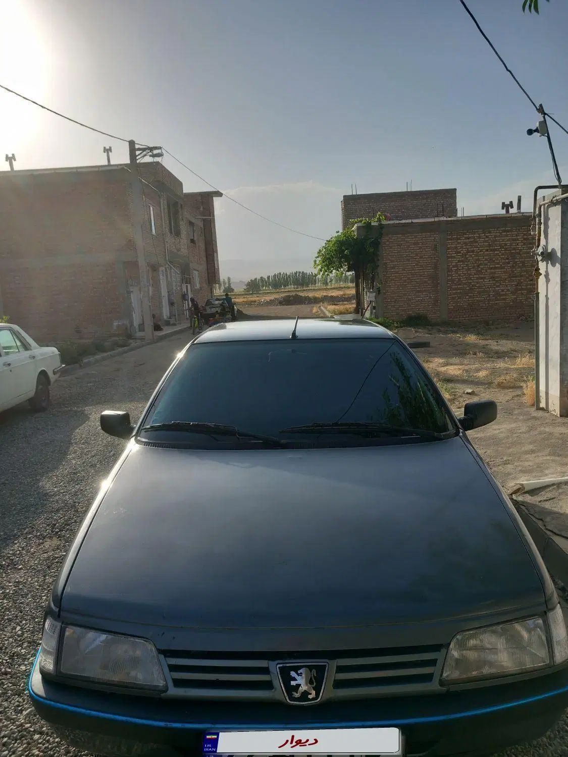 پژو 405 GL - دوگانه سوز CNG - 1369