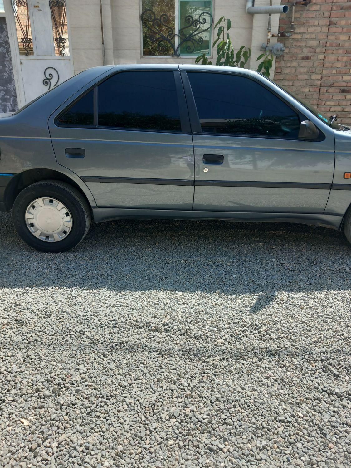 پژو 405 GL - دوگانه سوز CNG - 1369