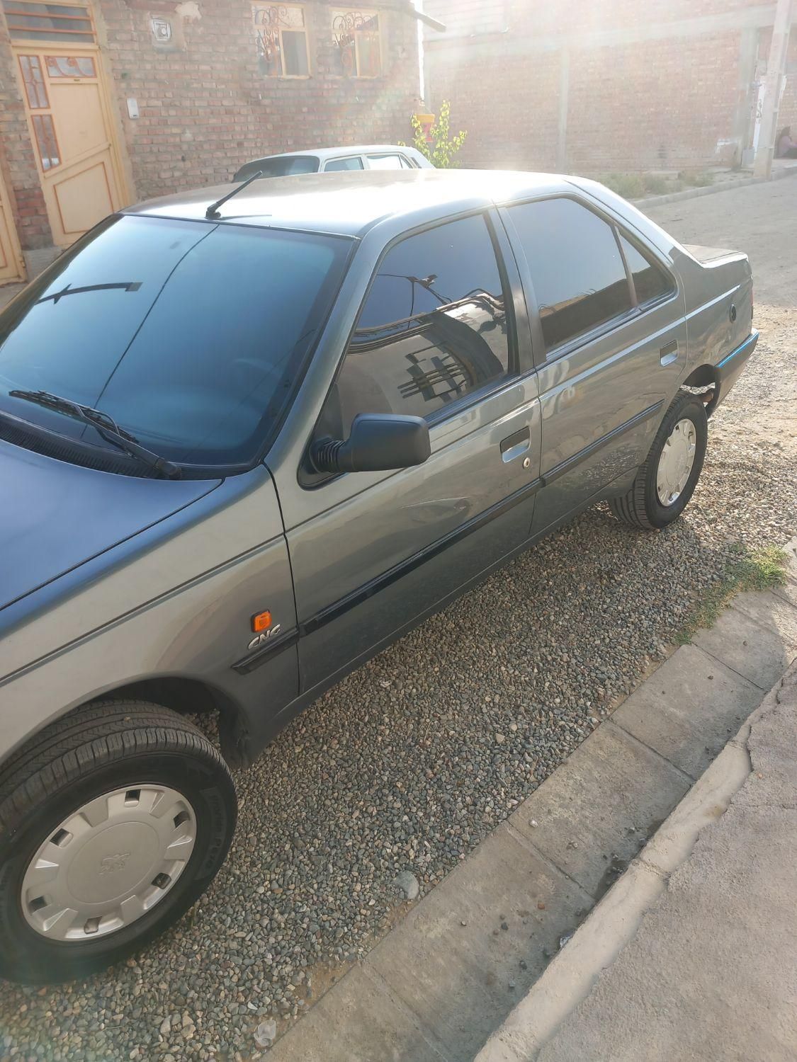 پژو 405 GL - دوگانه سوز CNG - 1369
