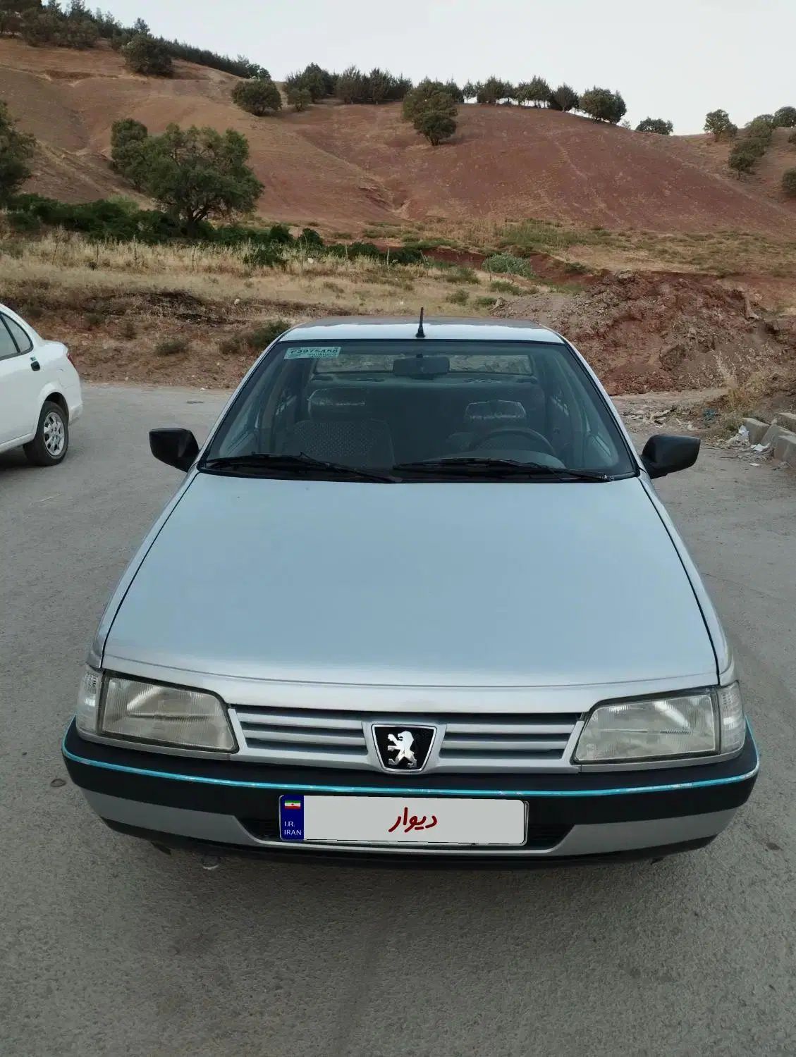 پژو 405 GLX - 1393