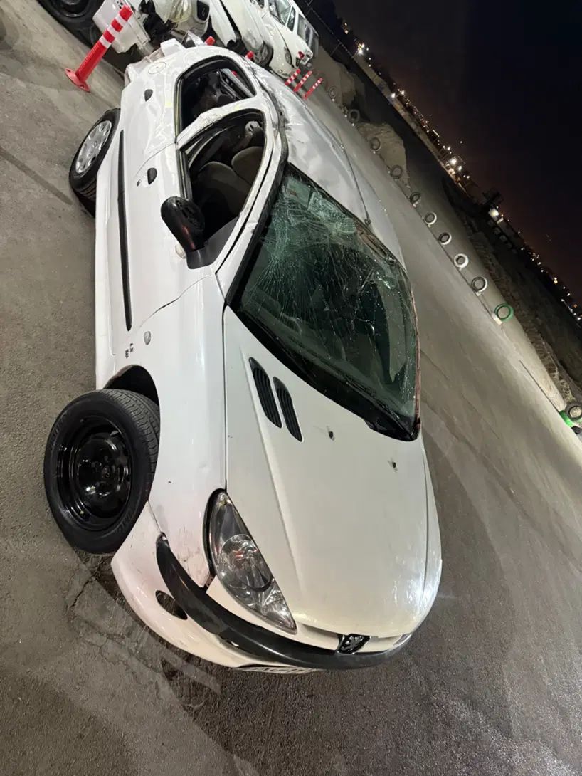 پژو ۲۰۶ صندوق دار v8 - 1390