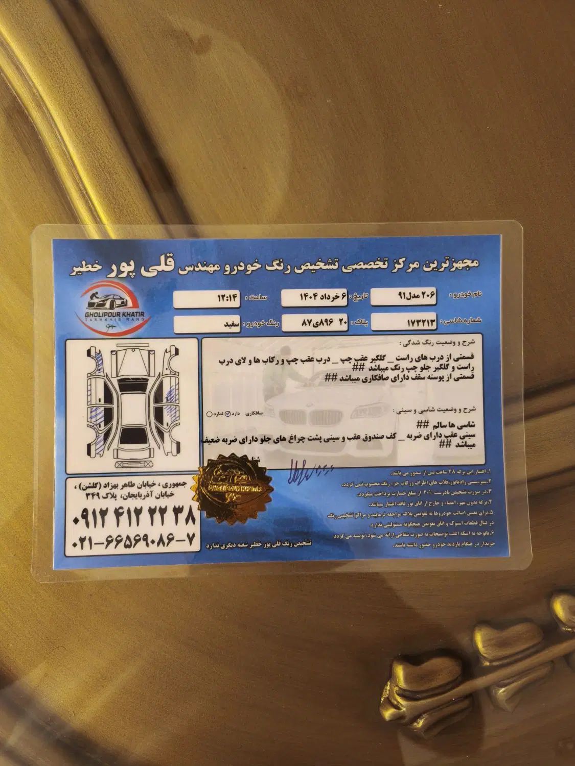 پژو 206 تیپ 6 - 1391