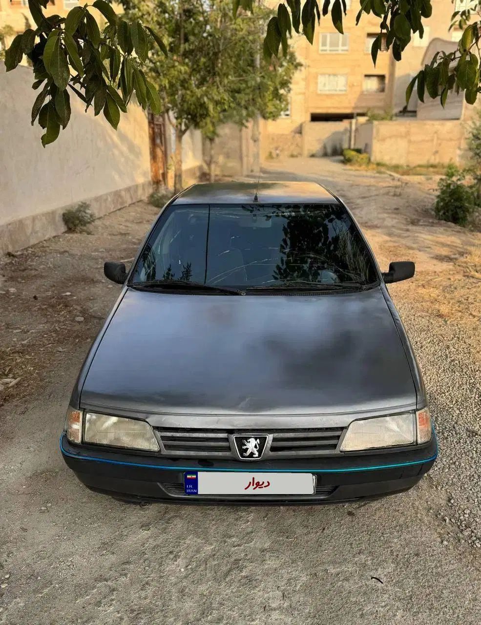 پژو 405 GLX - دوگانه سوز - 1389