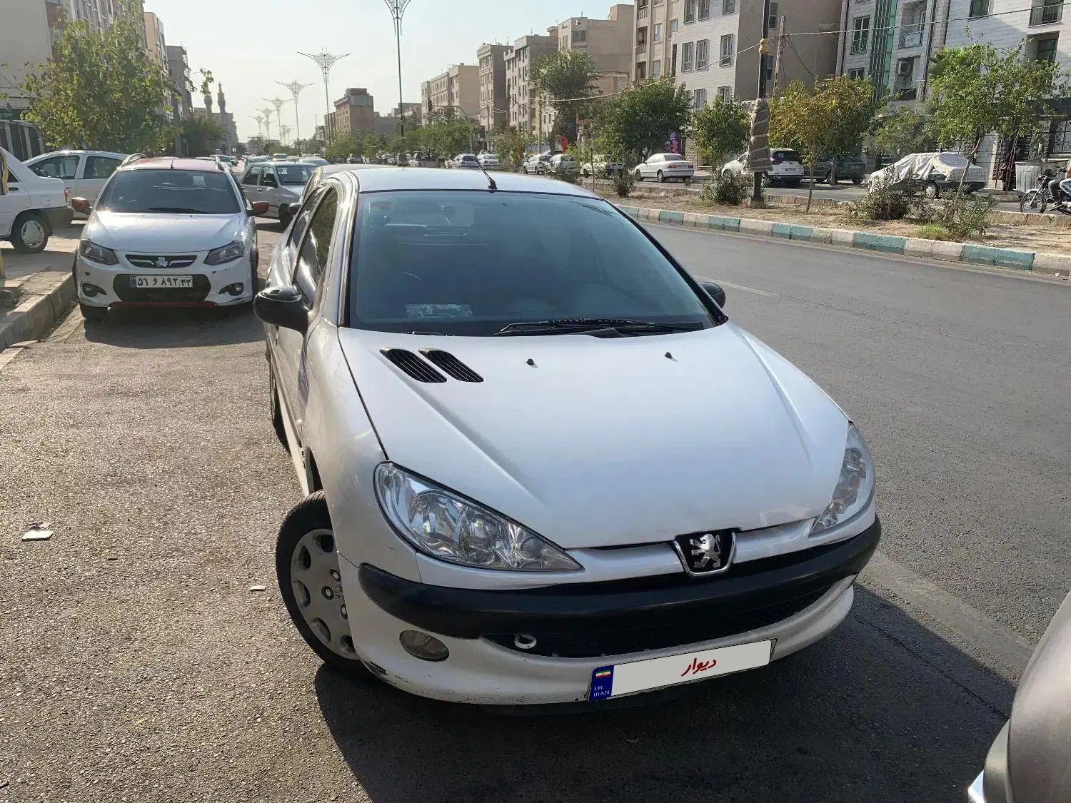 پژو 206 تیپ 5 - 1389