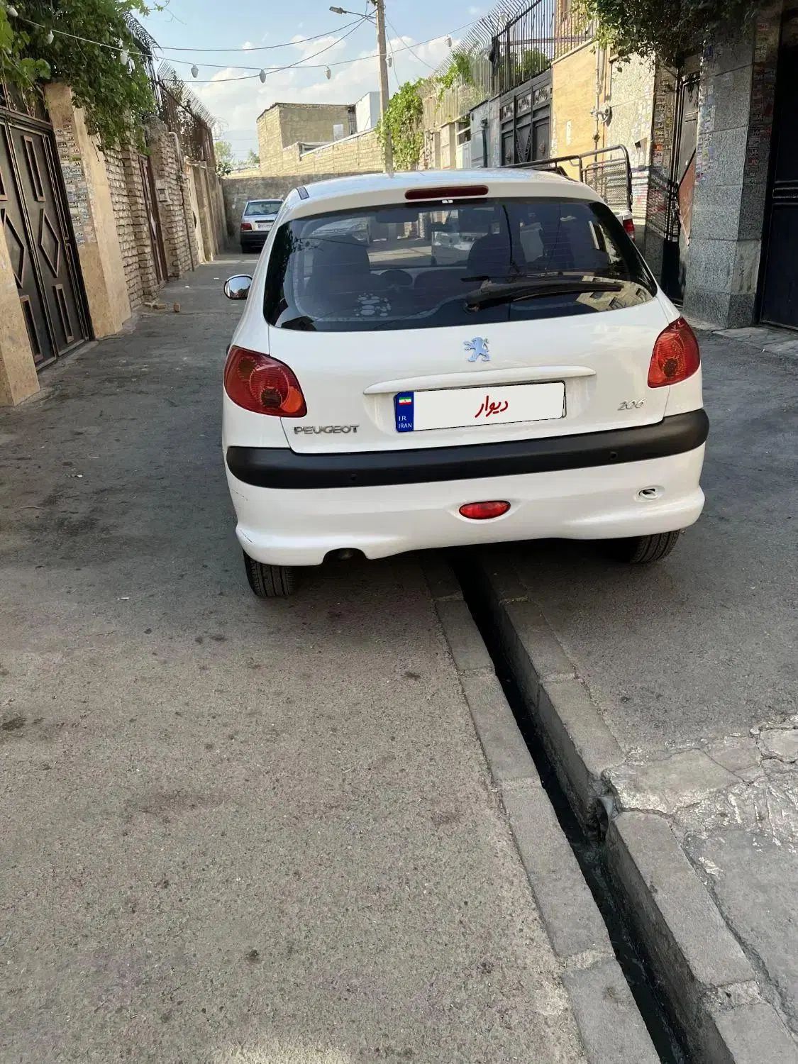 پژو 206 تیپ 5 - 1395