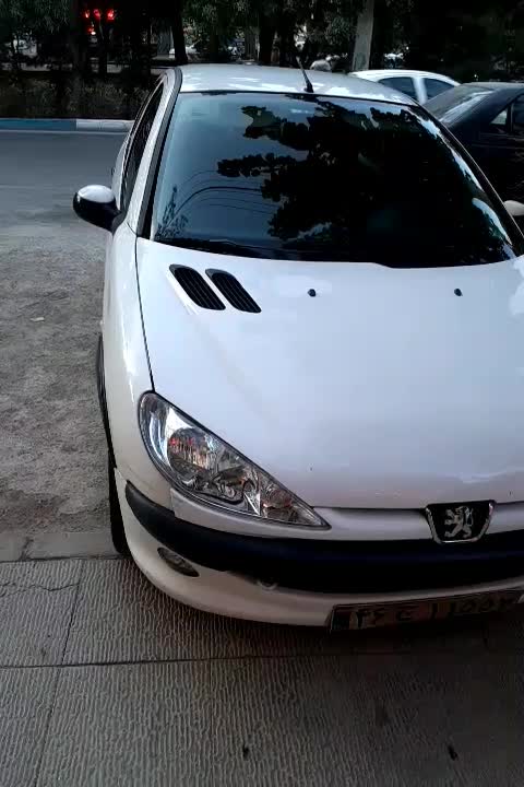 پژو ۲۰۶ صندوق دار v8 - 1395