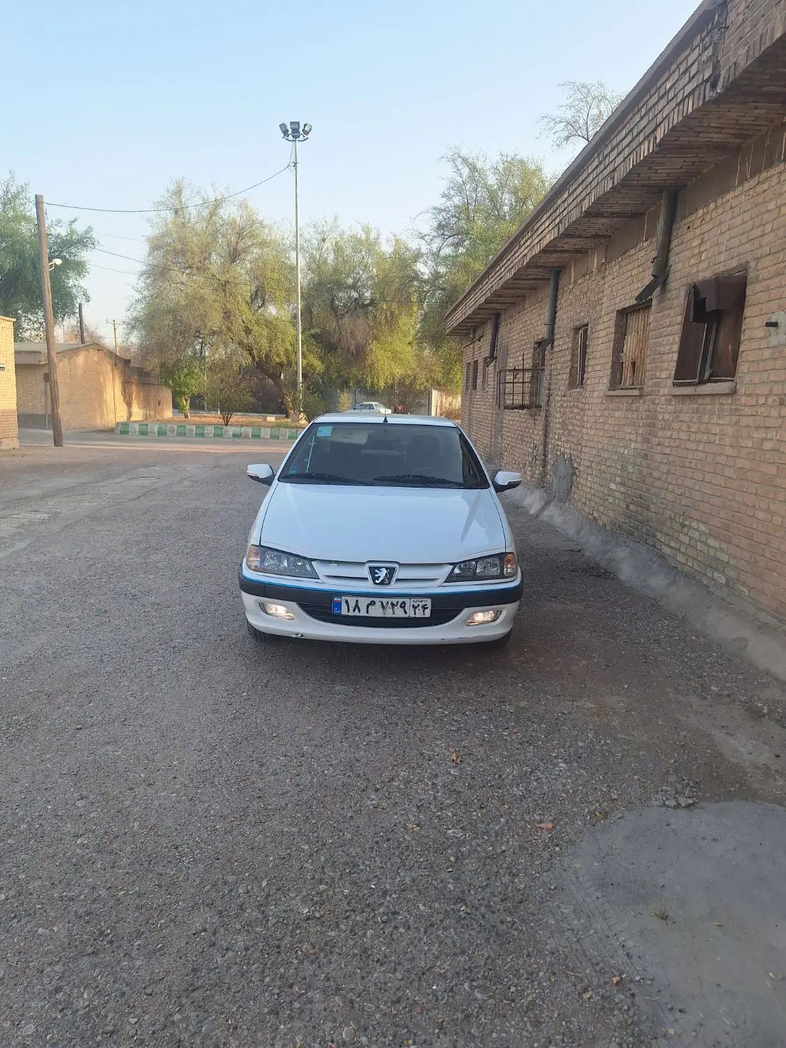 پژو پارس ELX-XU7P سفارشی - 1401