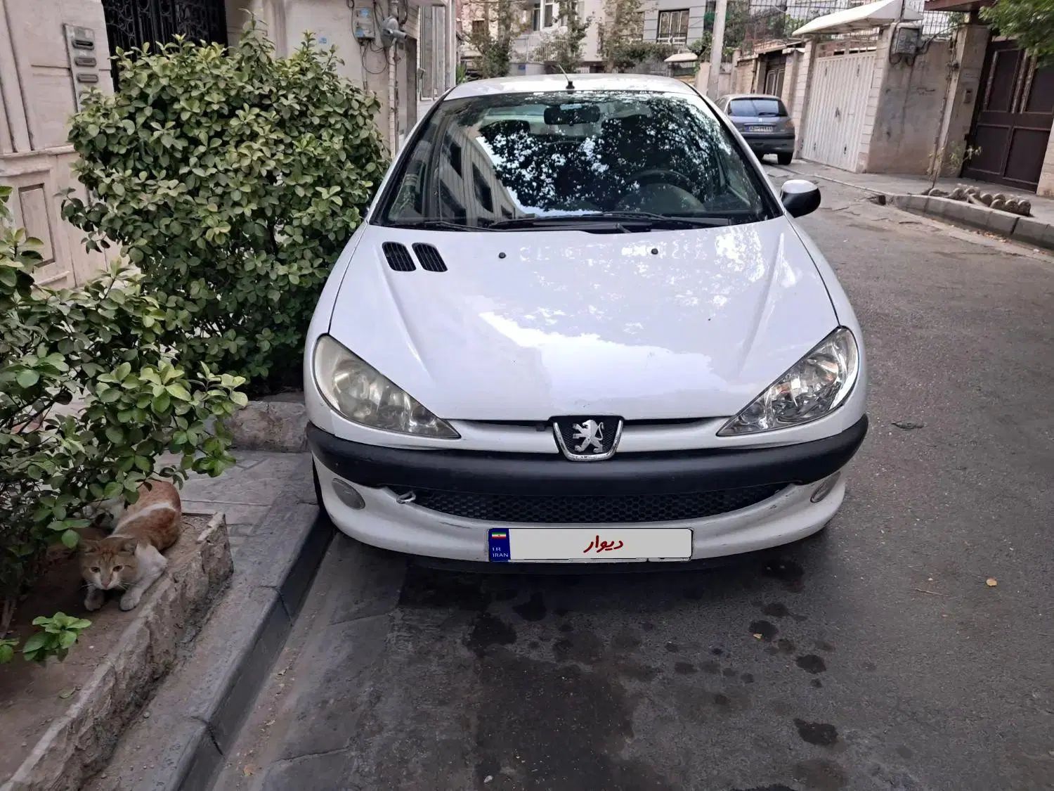 خودرو پژو، ۲۰۶ صندوق دار آگهی ann_20062007