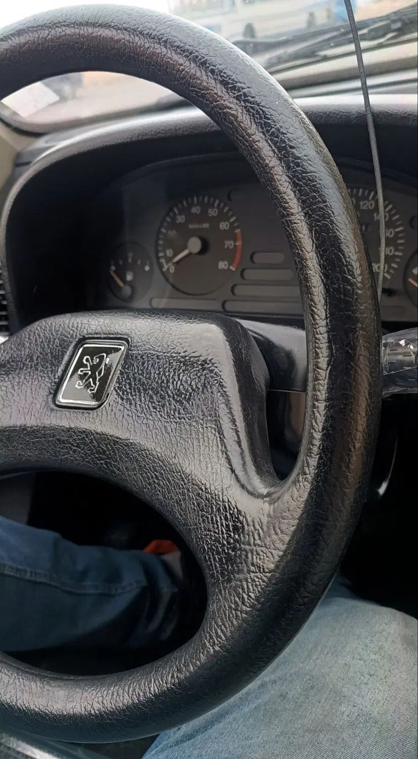 پژو آردی دوگانه سوز CNG - 1383