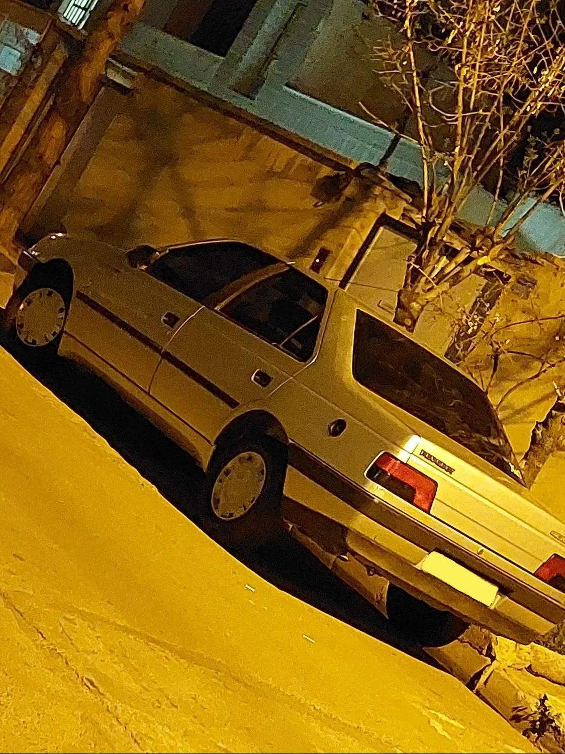 پژو 405 GLX - دوگانه سوز - 1393