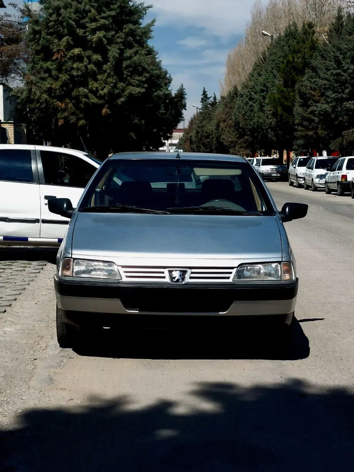 پژو 405 GLX - دوگانه سوز - 1393