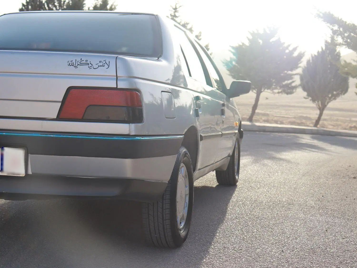 پژو 405 GLX - دوگانه سوز - 1391